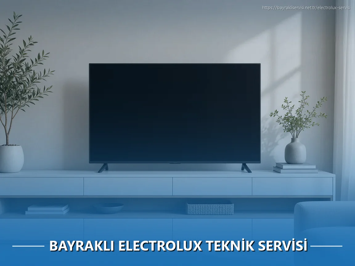 Bayraklı Electrolux Teknik Servisi