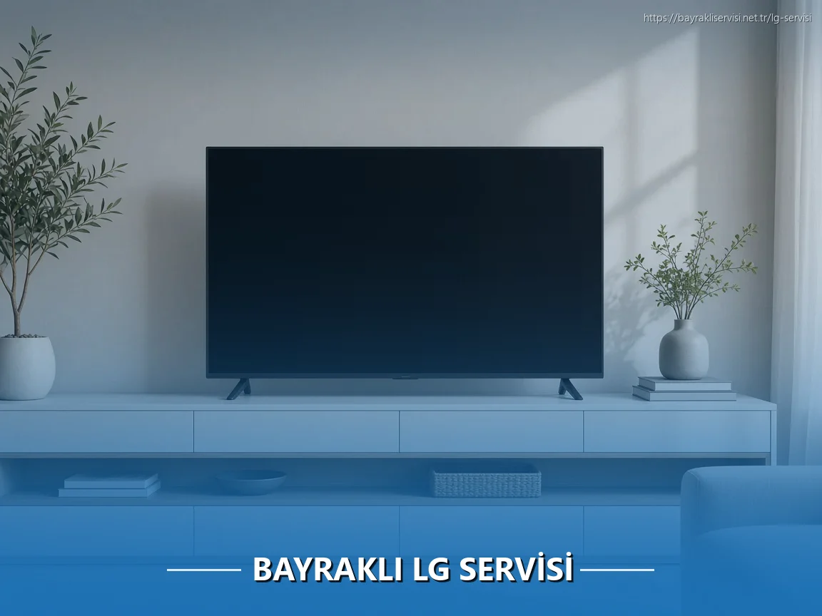 Bayraklı LG Servisi